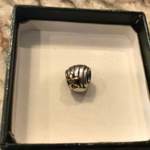 Pandora charm
